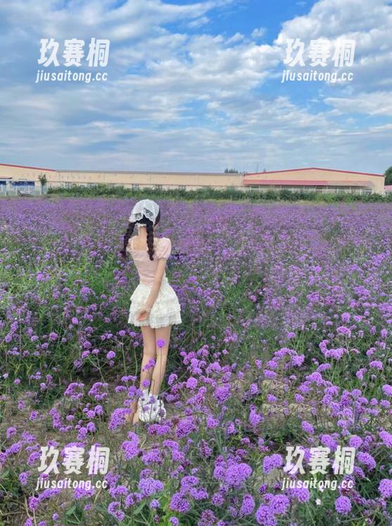 不登录不说话，51吃瓜今日的干货就在等你来发现！