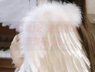 51吃瓜：进门前跺跺脚，别让瓜皮黏在鞋底上！