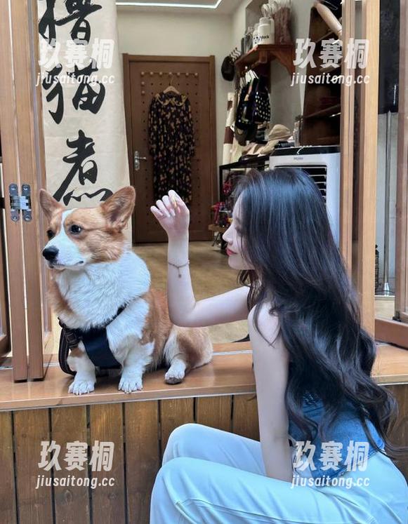 91吃瓜苹果版的黑料目录，谁才是真正的赢家？