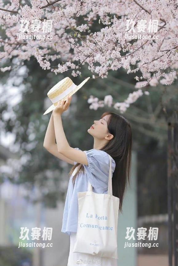 黑料老司机的秘密收藏，你肯定想不到的奇事！